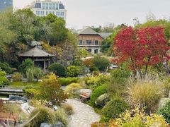 -上海吴淞炮台湾国家湿地公园