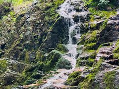 -永州阳明山国家森林公园