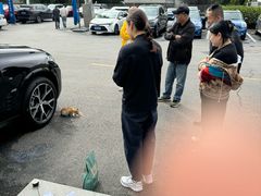 -北京盈之宝宝马&MINI4S店(望京店)