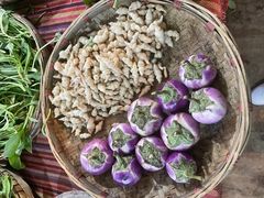 -昆虫窝子·特色云南菜(拓东路总店)
