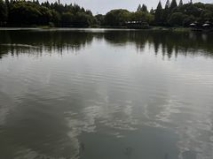 -新洲生态园