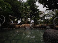 -龙佳生态温泉山庄