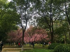 -国家会议中心大酒店