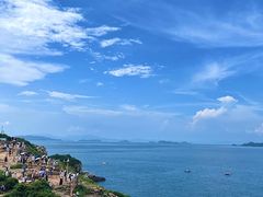 -杨梅坑