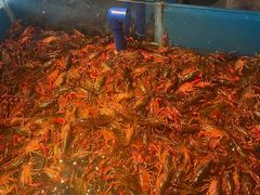-星伦多 自助料理(圆融店)