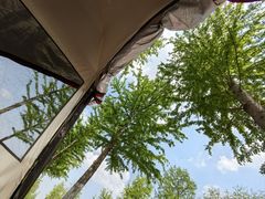 -春花秋色城市公园