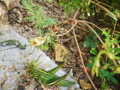 -蟠龙山长城景区