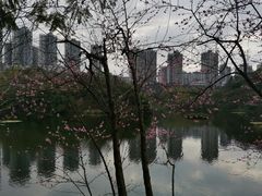 -重庆彩云湖湿地公园