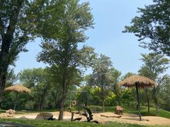 -北京野生动物园