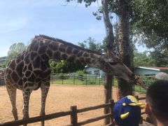 -大连森林动物园