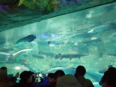 -泉城欧乐堡海洋极地世界