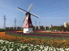 -菊园百果园