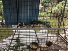 -龙回山庄