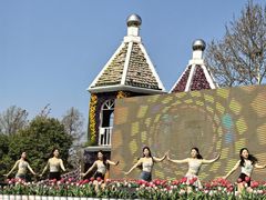 -荷兰花海
