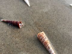 -万尾金滩