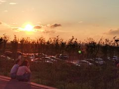 -南汇嘴观海公园