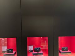 -新世界百货(明洞总店)