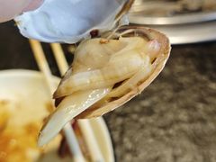 -泰白海鲜烧烤大全
