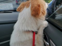 -畜牧兽医站(共江路店)