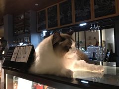 -咖法森林·咖啡  酒吧(天河店)