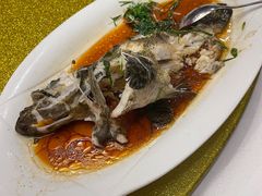 龙趸鱼-广州塔晖粤轩中餐厅
