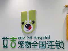 -艾吉宠物医院·疑难杂症转诊中心·猫友好(碧江路院)
