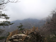 -牛背梁国家森林公园