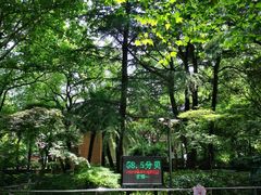 -华山儿童公园