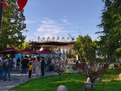 -黄海国家森林公园