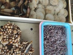 -南沙十九涌渔人码头-南门