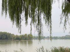 -颐和园