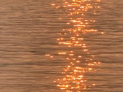 -西湖外事游船(花港观鱼码头)