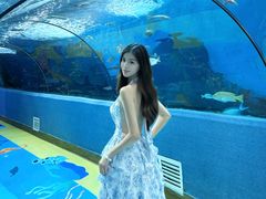 -合肥海洋世界
