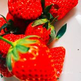 一口接一口，沉溺在草莓甜香里，🍓🍓🍓。