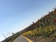 -北纬44度·金珠花海休闲农业旅游景区