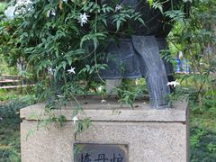 -广州神农草堂中医药博物馆