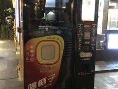-三亚湾红树林度假世界(木棉酒店)