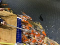 -昆明大悦城未来动物城(螺蛳湾中心店)