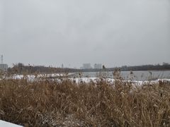 -长春市南湖公园