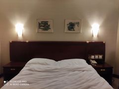 -深圳富临大酒店