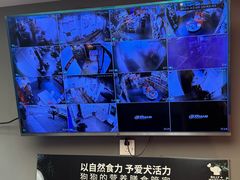 -宠物家(双井店)