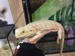 -藦茜花园宠物主题亲子互动体验馆(国顺东路店)
