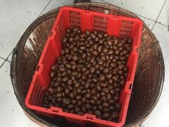-陈记栗子(长宁路店)
