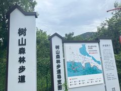 -树山生态村