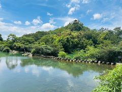 -花溪公园