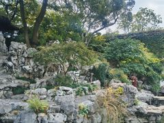 -艺圃