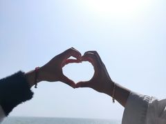 -贡湖湾湿地公园