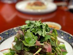 凉拌折耳根-老宋家鱼馆(北滨路店)