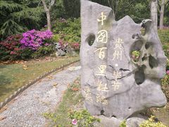 -上海滨江森林公园