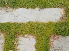 -渭河城市绿地运动公园